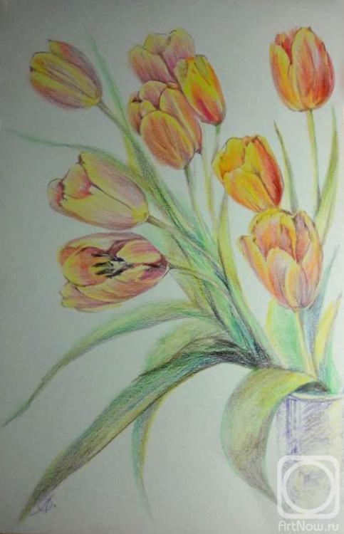 Volkova Olga. Tulips