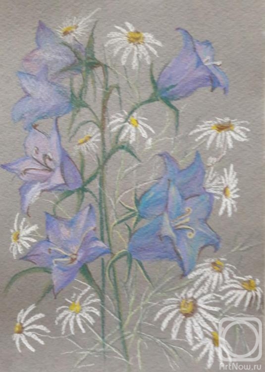 Volkova Olga. Bluebells and daisies