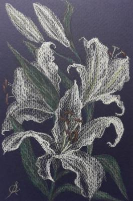 White lilies. Volkova Olga
