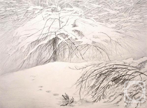 Volkova Olga. Winter. Bush
