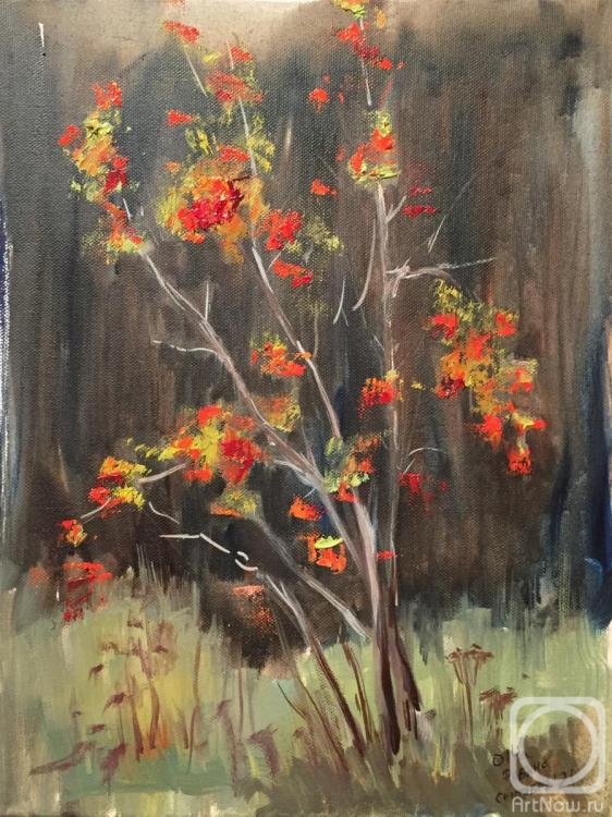 ������� ������ �� ������. ����������� �����. ������