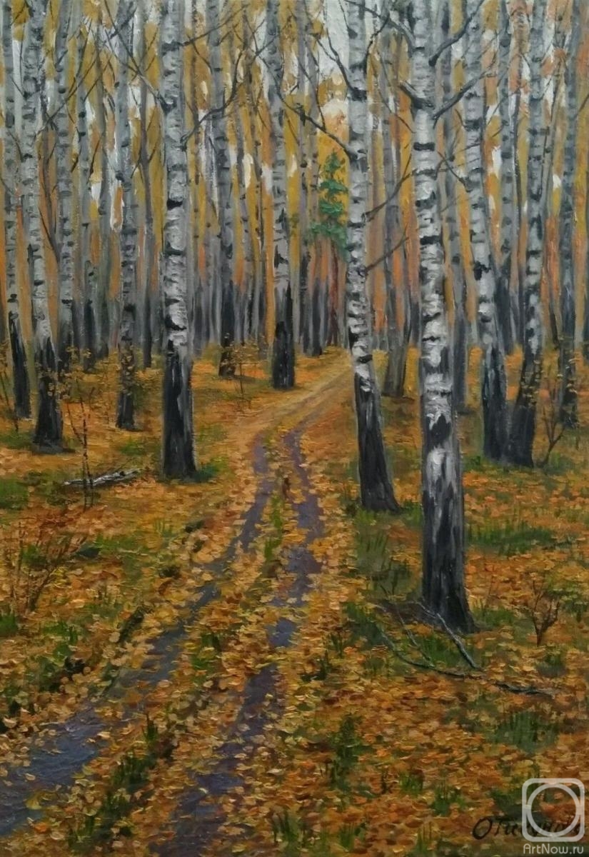 Tikunova Olga. Birch grove