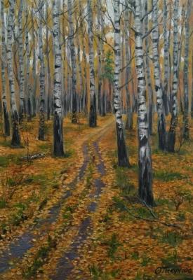 Birch grove. Tikunova Olga