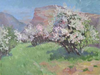 Apple trees are blooming (Apple Trees In The Crimea). Stepanova Elena