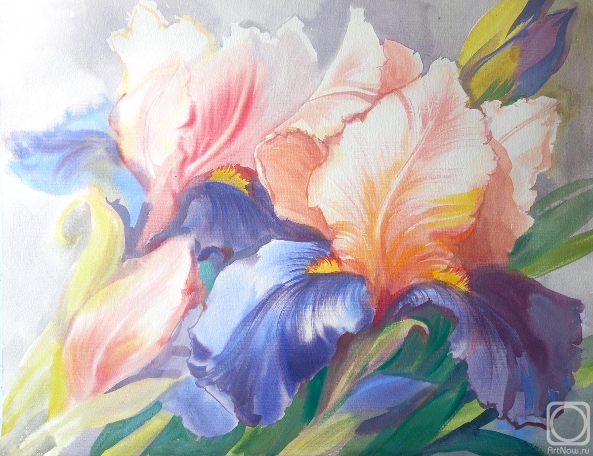 �������. ���������� ���������. ����������