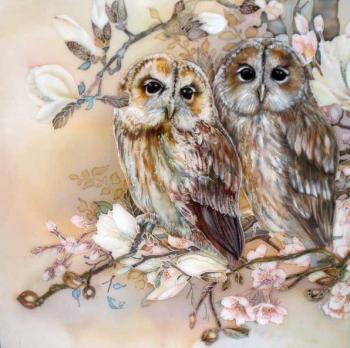 Owls. Kuharenko Kristina