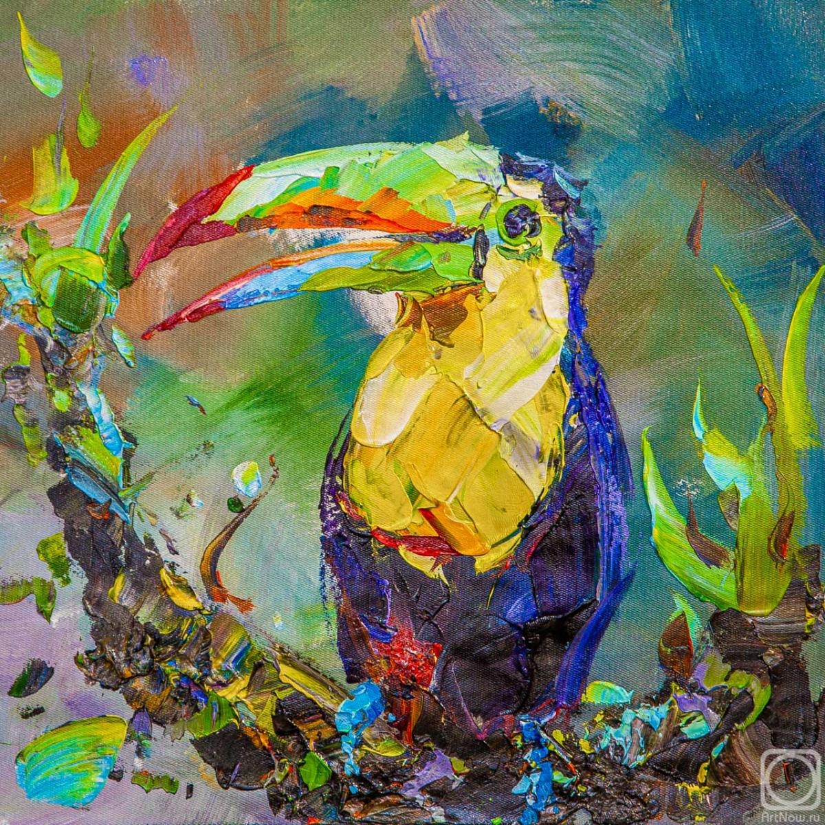 Rodries Jose. It's all about beauty. Toucan N2