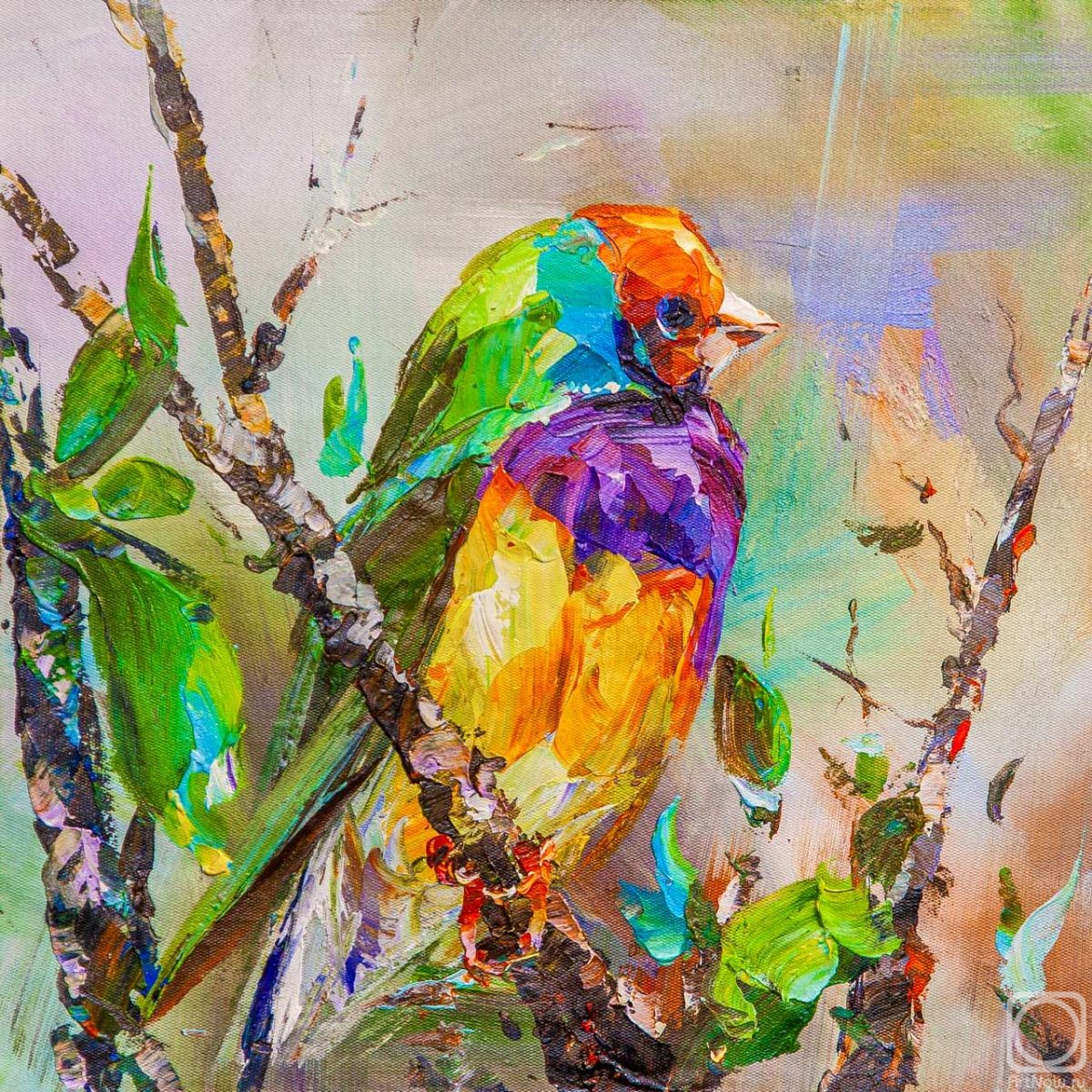 Rodries Jose. Colorful finch