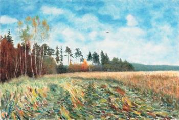 Autumn. Field, in the vicinity of Plotavtsevo Village, Vladimir region