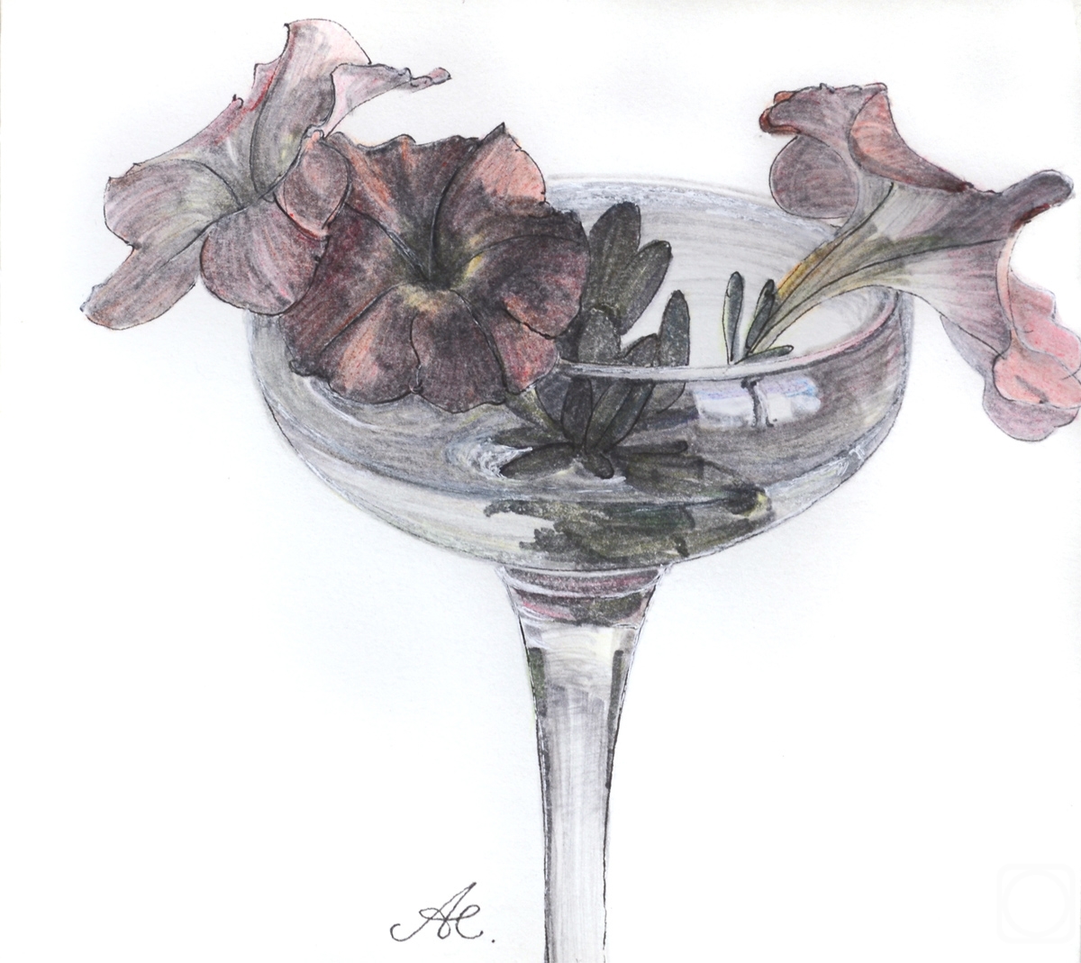 Alferonok Victoria. Petunia in a glass