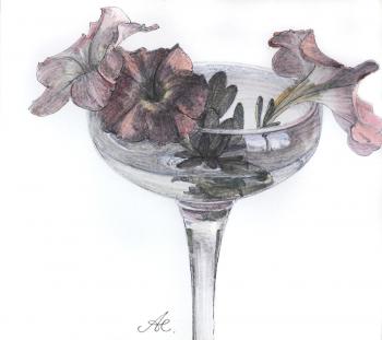 Petunia in a glass. Alferonok Victoria
