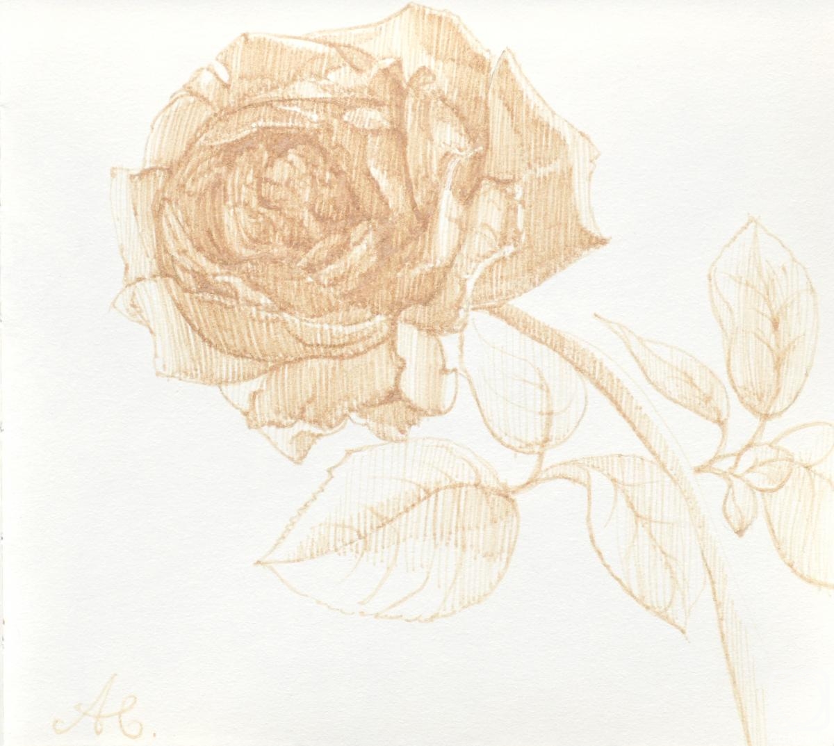 Alferonok Victoria. Golden rose