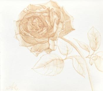 Golden rose (Rose Drawing). Alferonok Victoria