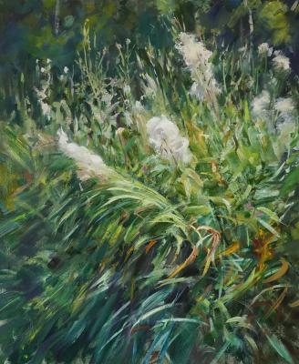 Korolev Andrey Gennadievich. Grass