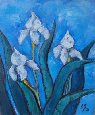 ������� ������-���������