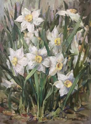 Daffodils. Olshannikov Vasiliy