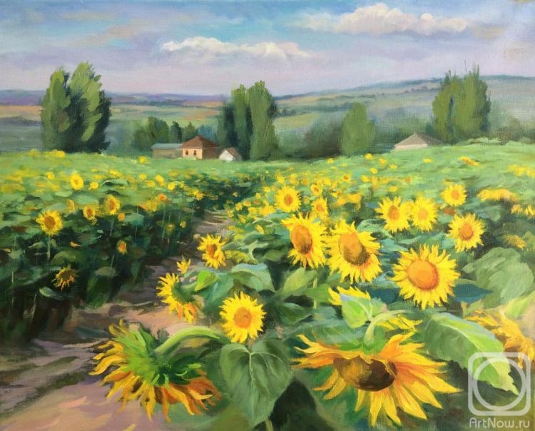 Tsebenko Natalia. August. Sunflowers