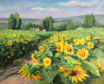 August. Sunflowers. Tsebenko Natalia