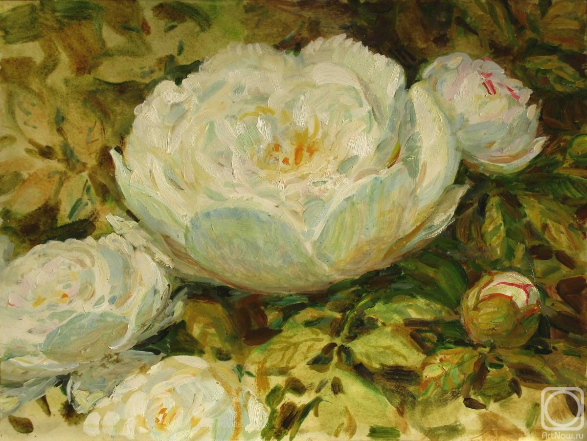 �������. ��������� �����������. ����� �����