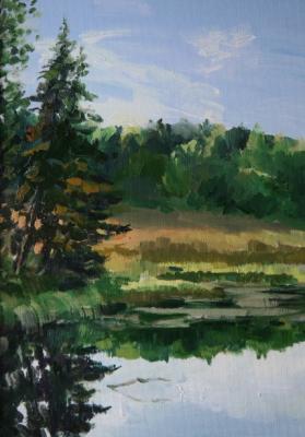 Etude with pond (Summer Landscape With A Pond). Shirobokova Taisiya