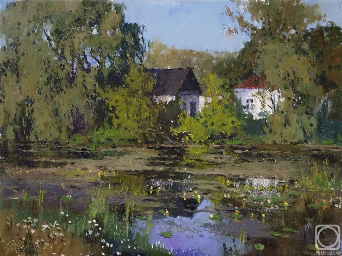 Zhilov Andrey. Teshin's water lilies