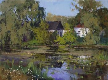 Teshin's water lilies. Zhilov Andrey