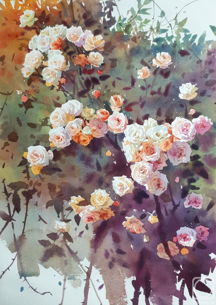 �������. �������� �������. ����