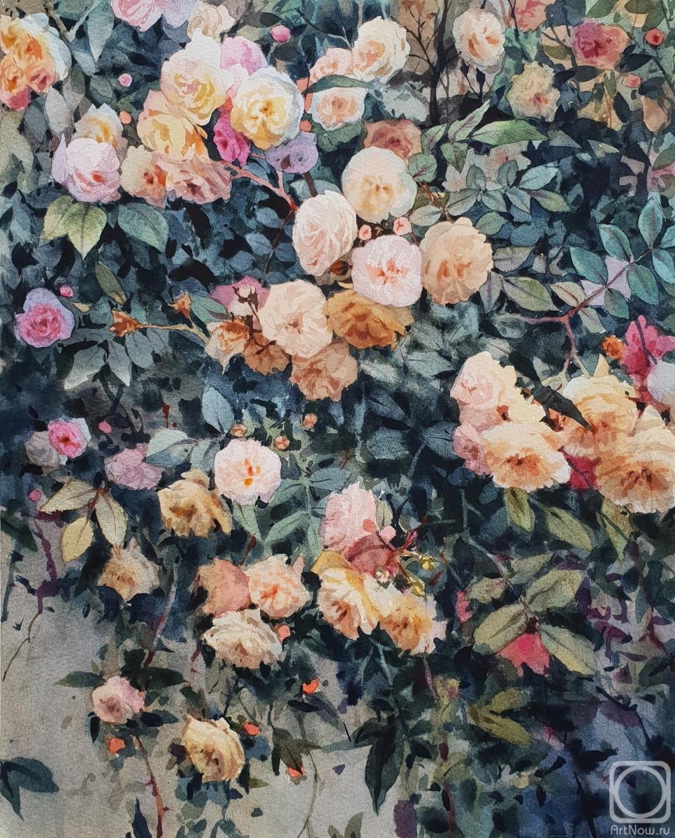 Shundeeva Tatiana. Roses