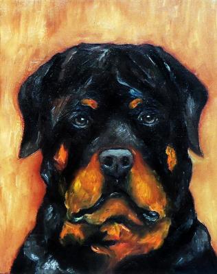 Rottie (A Portrait Of Dogs). Knyazheva-Balloge Maria