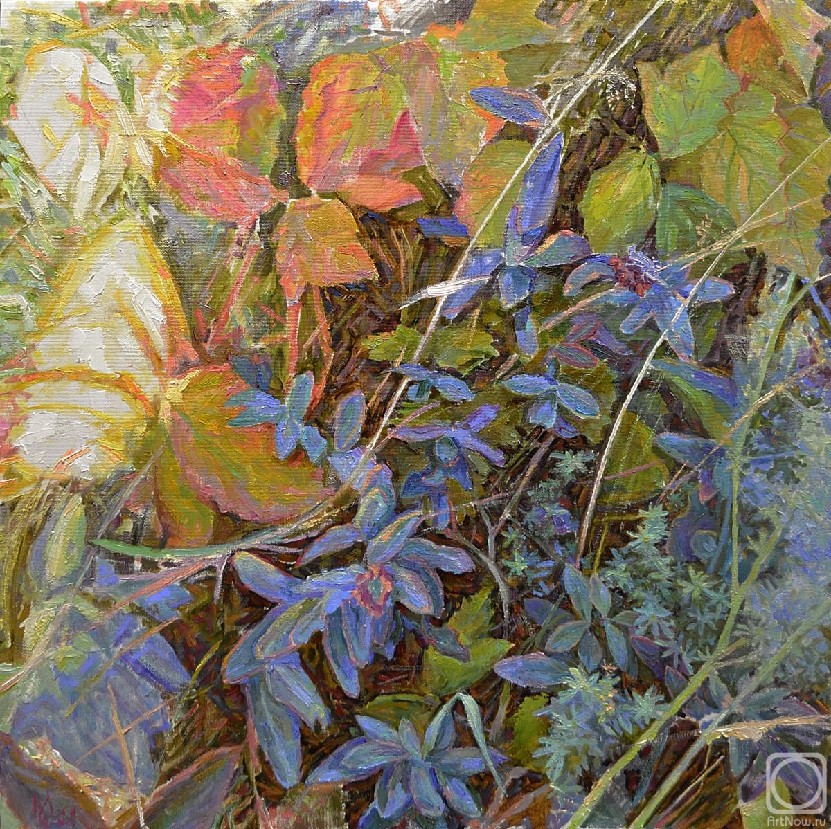 ������� ������ �� ������. ����� �����. ������� ��� ��������