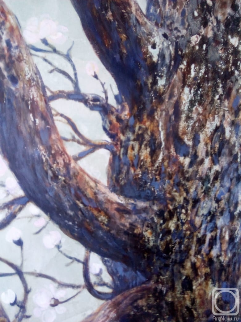 ������� �����. �������� ������