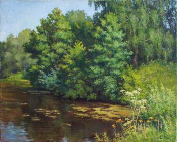 By the pond (A Sedge). Shumakova Elena