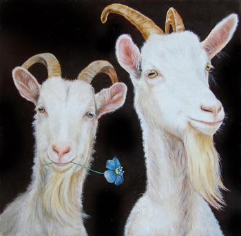 Goats. Metchenko Elena