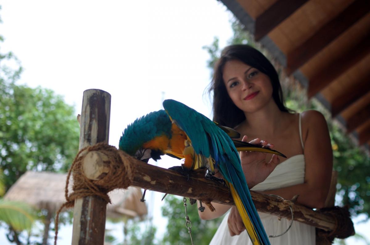 �������� ���������