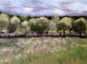 Willows in the evening (Blue Willows). Zerkalnaya Lana