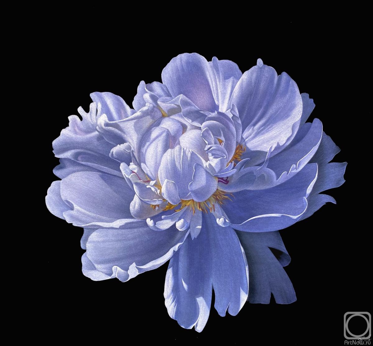 �������. ������ �������. ����