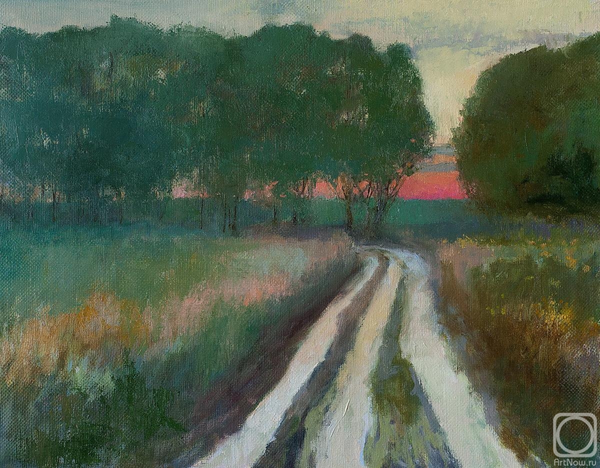 Anikeev Dmitriy. The road to Levoberezhny at sunset