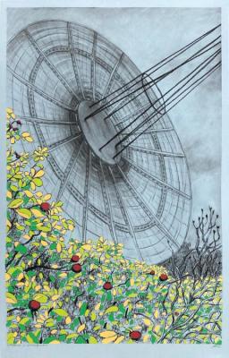 The Dish and Rosehip