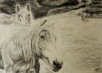 Horses. Gudkov Andrey