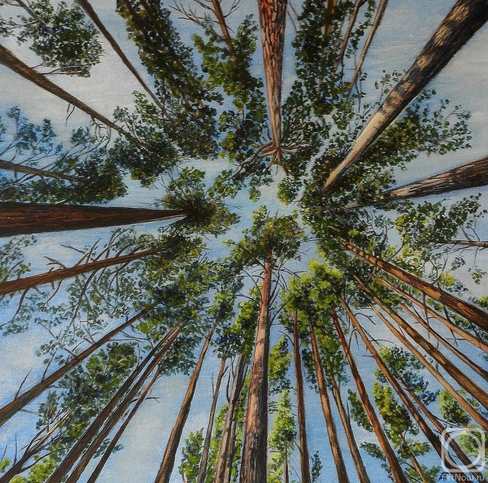 �������. ������ ������. ��� ��������