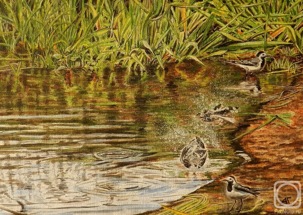 �������. ������ ������. ����� �����