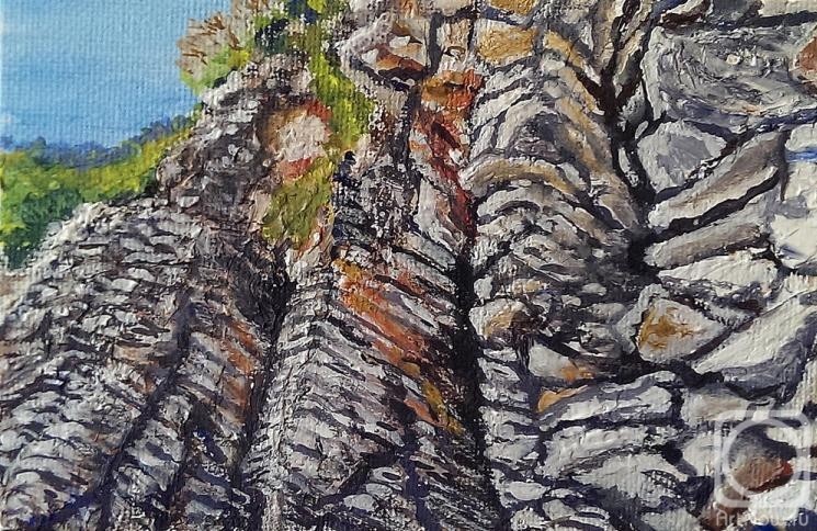 �������. ������ ������. �������� �����