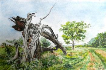 ������ � ������. ������ ������