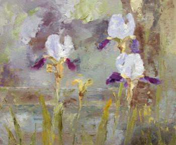 ������� ���������