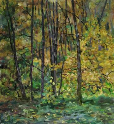 ������� ������� ������