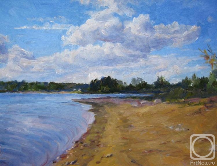 Voronov Vladimir. August. The deserted shore