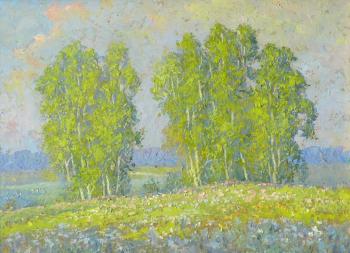 Sulimov Alexandr Ivanovich. Summer landscape