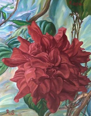 Rose. Rakutov Sergey