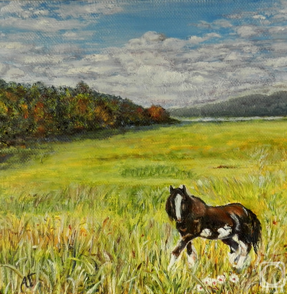 ������� ������ �� ������. ������ ������. ����