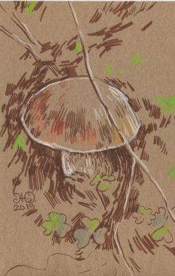 The "Mushroom time" series (figure 3) (A Picture With Mushrooms). Zhukovskaya Yuliya